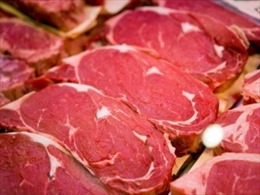 Đan Mạch phát hiện &#39;thịt bò trộn thịt ngựa&#39; 