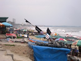 Giải tỏa chợ cá tự phát bên bờ vịnh Hạ Long