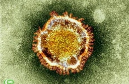 Virút corona mới nguy hiểm hơn virút gây bệnh SARS 200