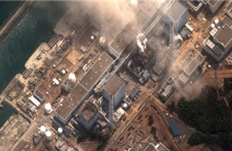 Nhật chưa thể tái khởi động điện hạt nhân năm nay 