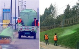 Trung Quốc phun thuốc nhuộm cỏ đô thị