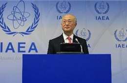 IAEA chưa sẵn sàng công nhận hạt nhân dân sự Iran 