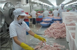 Brazil thanh tra an toàn thực phẩm thủy sản Việt Nam 