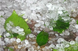 Mưa đá gây thiệt hại ở Hà Giang 