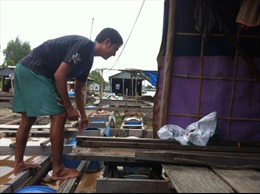 Khó khăn “bủa vây” ngành cá tra 