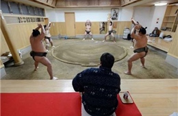 Võ sĩ sumo trăn trở với nghề