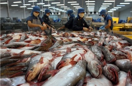 Bộ Công Thương phản đối quyết định bất lợi đối với cá tra Việt Nam