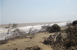 Đồng bằng sông Cửu Long trước thách thức biến đổi khí hậu - Bài 1: Hiển hiện nguy cơ