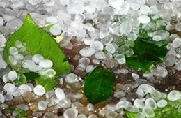 Mưa đá gây thiệt hại ở Hà Giang