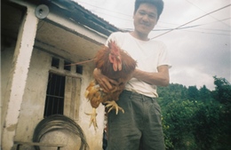 Thoát nghèo nhờ nuôi gà nhiều cựa