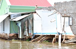 5 căn nhà đổ ập xuống sông Cần Thơ