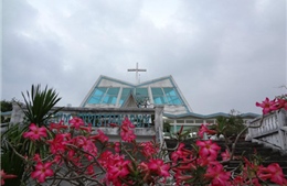 Đánh thức Trà Kiệu