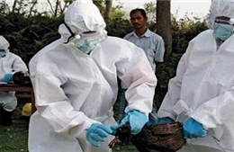 Thêm hai trường hợp nhiễm virút cúm H7N9 tại Trung Quốc 