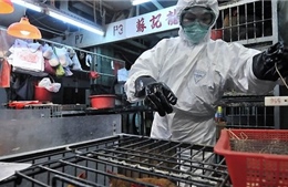 Số ca nhiễm cúm H7N9 tại Trung Quốc tiếp tục tăng 