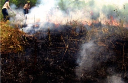 Chủ động phòng cháy, chữa cháy rừng trong mùa khô hanh 