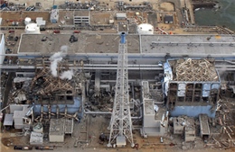 Lại rò rỉ nước nhiễm phóng xạ tại Fukushima 
