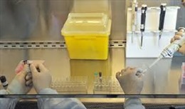 Trung Quốc công bố nguồn gốc virus cúm H7N9 