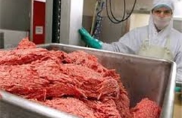Thịt bò trộn thịt ngựa Hà Lan tràn khắp Đức