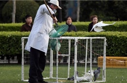 Thêm 1 bệnh nhân H7N9 tử vong ở Thượng Hải