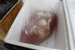  Bắt 1 tấn gà và nội tạng thối nghi từ Trung Quốc