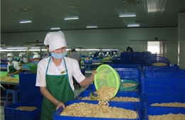 Xuất khẩu tìm cách vượt rào cản