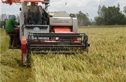 Tìm cách nâng cao giá trị hạt lúa - Bài cuối: Xây dựng thương hiệu gạo Việt Nam