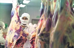 Việt Nam mở cửa thị trường cho thịt bò Uruguay