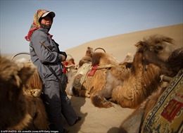 Ốc đảo 2.000 năm giữa lòng sa mạc Trung Quốc
