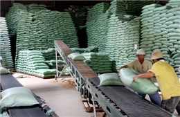 Nâng cao hiệu quả mua lúa gạo tạm trữ 