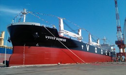 Vinashin bàn giao tàu 56.200 tấn cho Vinalines 