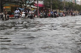 Mưa to, lốc xoáy bất ngờ tại Phú Thọ