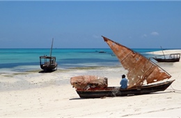 Nghề đóng thuyền Ấn Độ “chìm” vì cướp biển