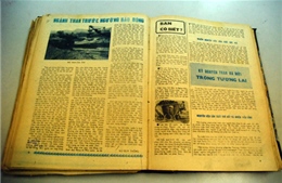 Nhớ một thời say mê và xả thân