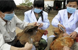 Cúm A/H7N9 có thể lây từ người sang người 