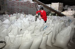 Vụ gạo Trung Quốc nhiễm độc: Cơ hội tốt cho gạo Việt Nam 