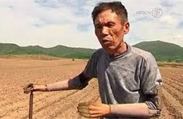 Nông dân nghèo Trung Quốc tự chế tay giả điện tử