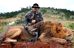 Nuôi sư tử phục vụ du khách săn bắn dã man