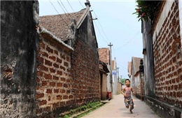Đề xuất giữ nguyên cấu trúc làng cổ Đường Lâm