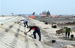 Hà Nội tu bổ các tuyến đê, kè xung yếu 