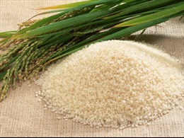 Nhật Bản chuyển giao công nghệ chế biến gạo cho Việt Nam 
