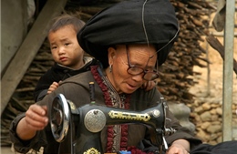 Phụ nữ người Dao ở Lai Châu 