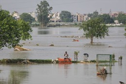 5.000 người chết vì lũ lụt ở miền bắc Ấn Độ 