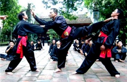 Khai mạc Giải võ thuật cổ truyền miền Trung-Tây Nguyên 