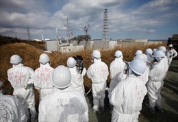 Phát hiện nồng độ phóng xạ cao gần Fukushima 1
