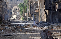 Kêu gọi giải quyết khủng hoảng Syria bằng giải pháp chính trị 