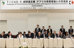 Nhật Bản chủ trương mở rộng quan hệ với châu Phi 