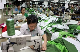 Để sản xuất và xuất khẩu đạt chỉ tiêu 