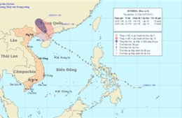 Trong 12 giờ tới bão số 3 suy yếu thành áp thấp nhiệt đới 