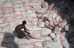 Thái Lan sắp bán tháo 5 triệu tấn gạo