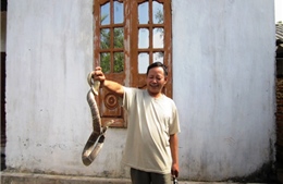 Từ “rái cá” thành chủ trại rắn